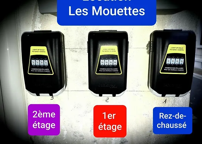 Les Mouettes