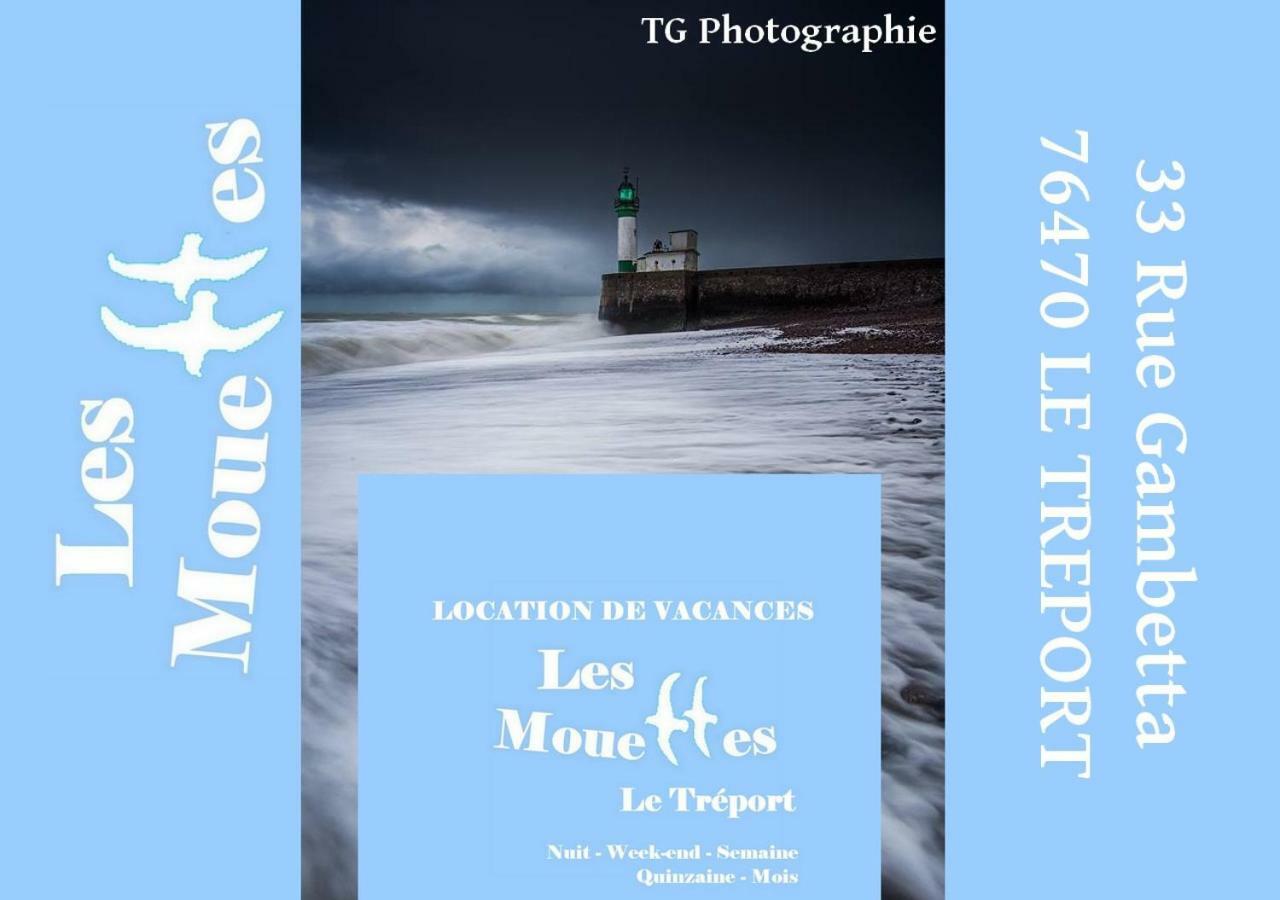Les Mouettes Le Tréport
